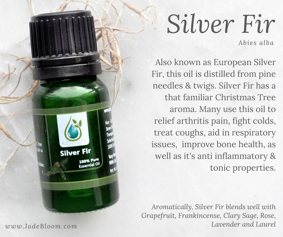 Jade Bloom – Engroshandel Æterisk olie – Ædelgran 100% Ren Æterisk Olie1
