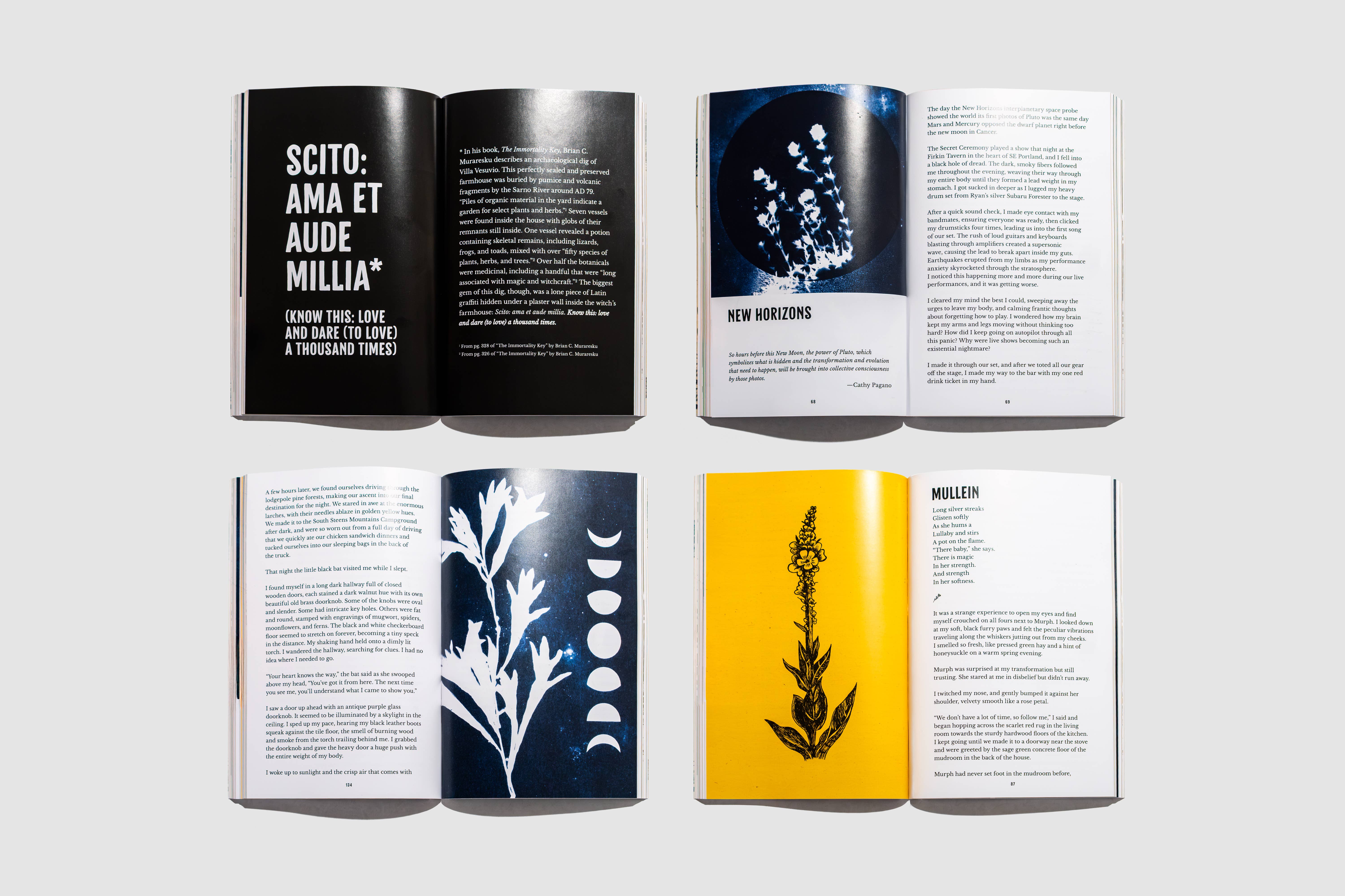 Velvetback - Wholesale Body, Mind & Spirit - Magic Flowers - Softcover Full Color Book and Bookmark1