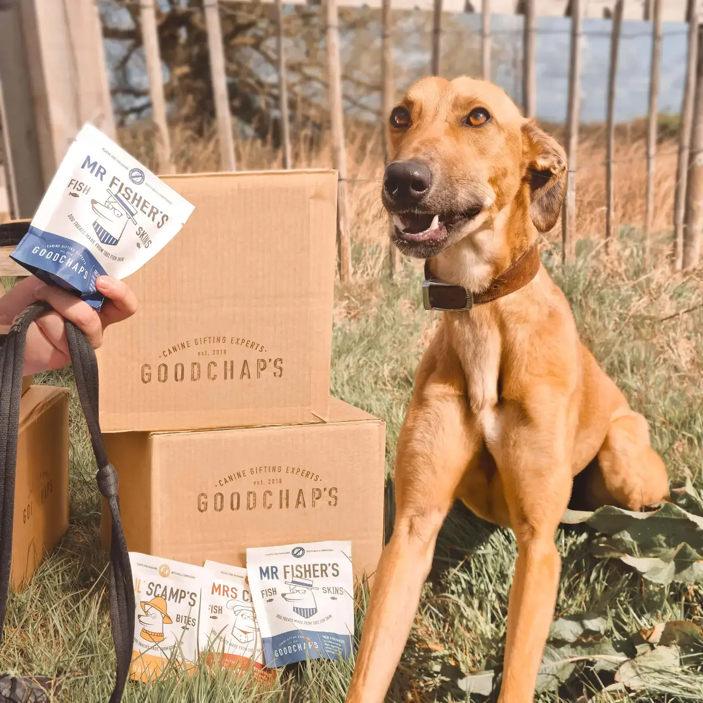 Goodchap's – wholesale Pet treats – Dog – Mr Fisher's Fish Skins | CDU of 10 Packs 10