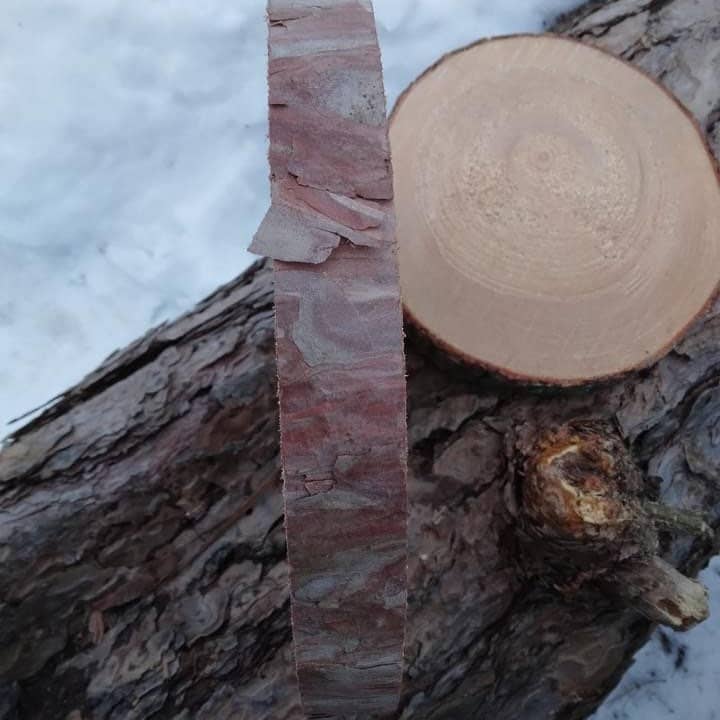 Stumps Custom Wood - Wholesale Decorative Tabletop Object - Rustic Wood Slices 1.5” Thick, Pine Live Edge Centerpieces, Wedding decorations, Table decorations, Live Edge Barky Coasters, Wooden slices1