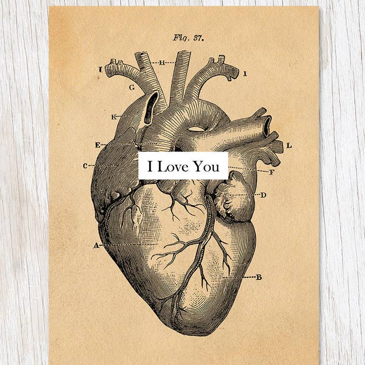 Cognitive Surplus – Cartão de amor por atacado – Amo-te: Cartão Coração Vintage (Caixa de 6)