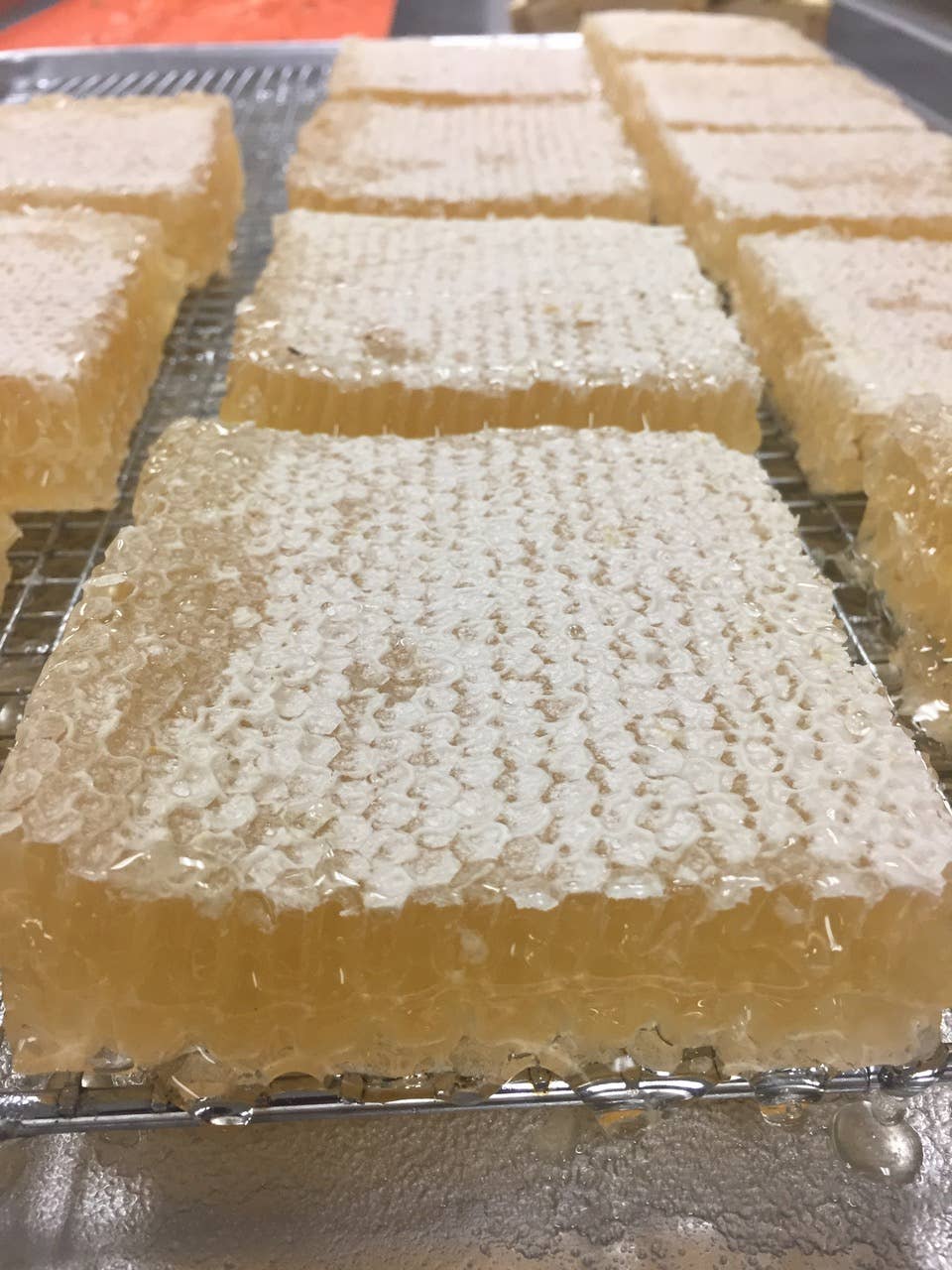 Moon Shine Trading Co. – Engroshandel Honning – Vildblomst honning i bikage3