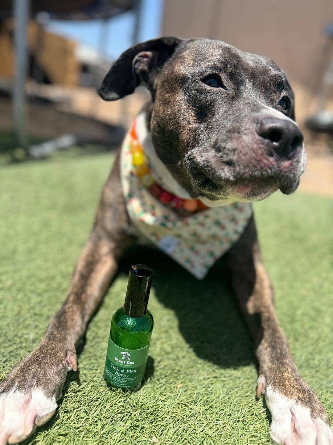 Plant Dog LLC - Wholesale Pet Spray - Dog - Tick & Flea Spray1