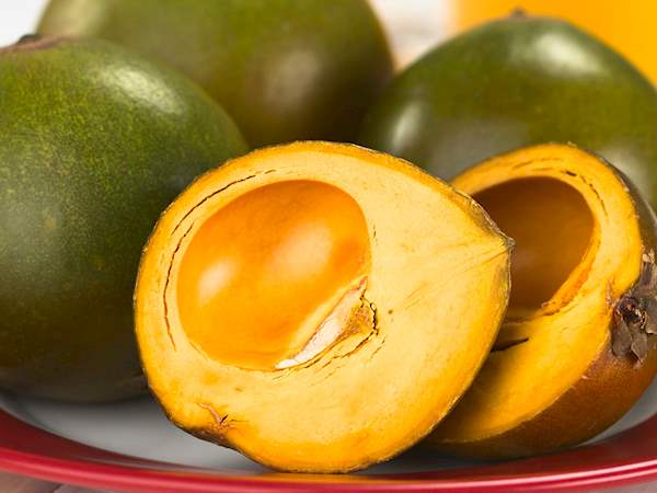 Ganesa Trading - Wholesale Protein/Superfood Powder - Organic Lucuma Powder Imported from Peru. USDA2