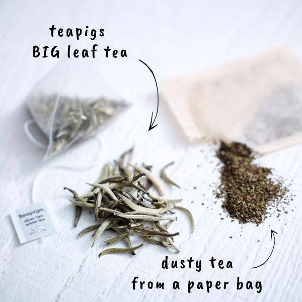 teapigs - Wholesale Tea Bags - Silver Tips White Tea - Sample Pack3