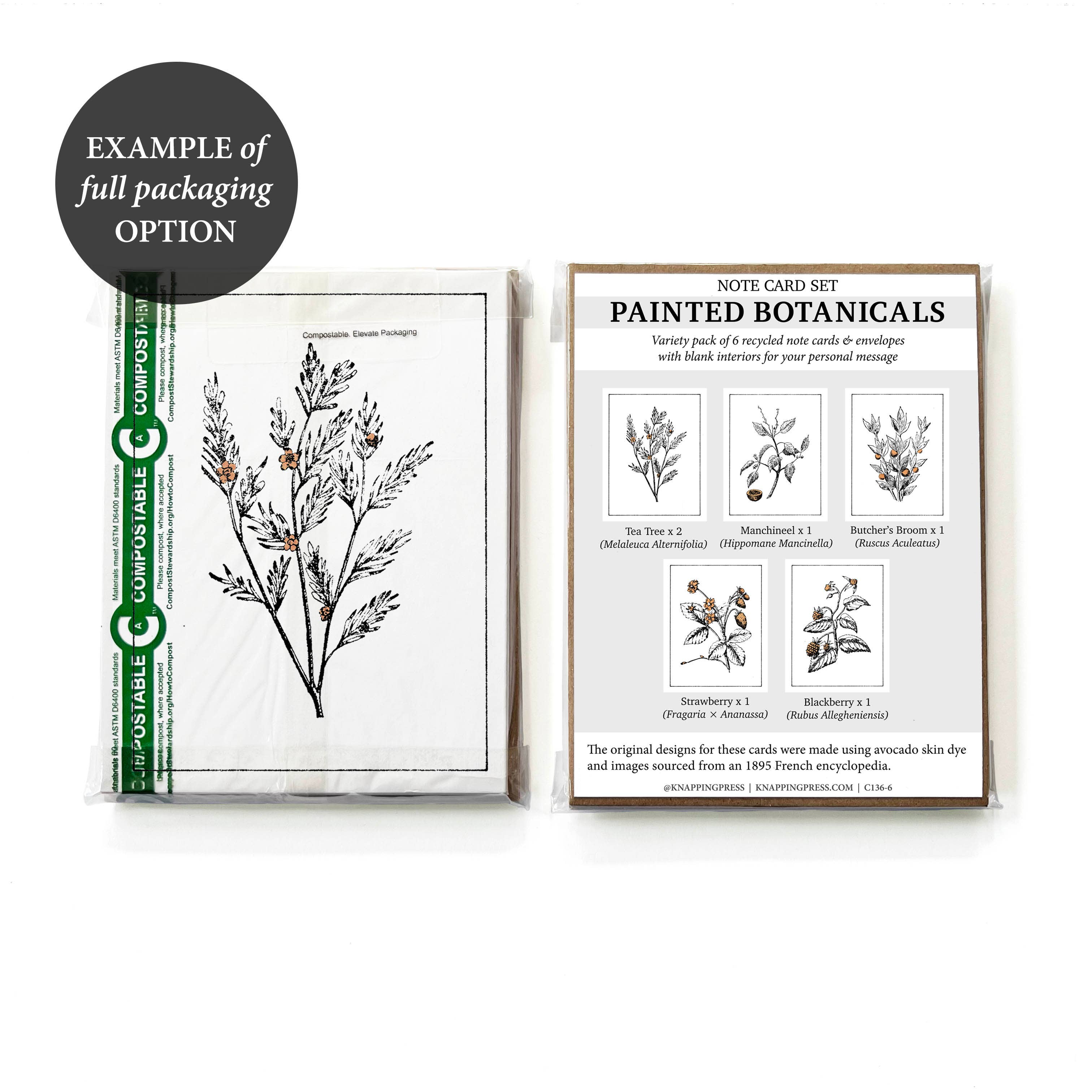 Knapping Press - Wholesale Stationery/Notecard Set - Set of 6 - 100% Recycled Blue Ridge Mountain Card Collection12