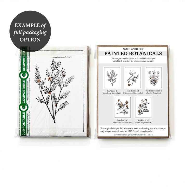 Knapping Press - Wholesale Stationery/Notecard Set - Set of 6 - 100% Recycled Painted Botanicals Card Collection12