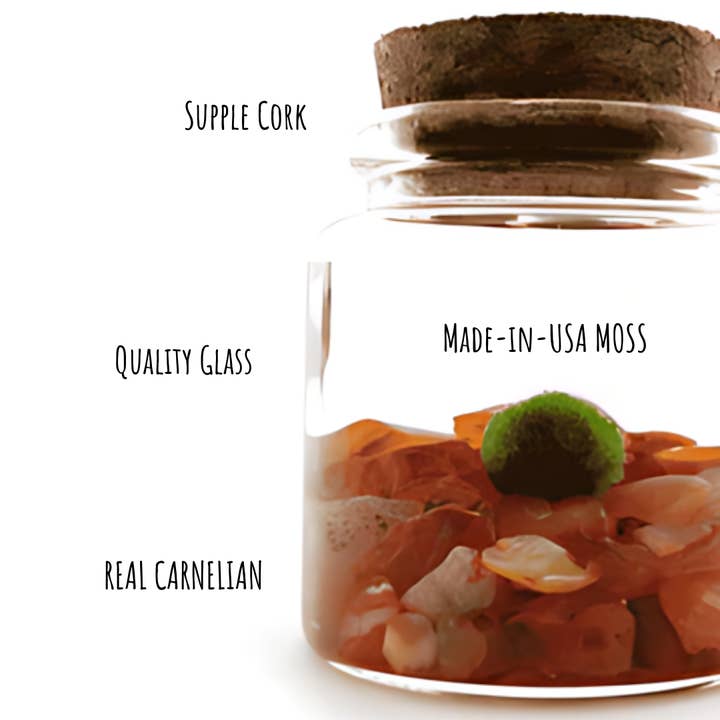 Moss Amigos | Moss Ball Terrariums - Wholesale Live Plant - Small Marimo Moss Ball Terrarium with Carnelian Gemstones4