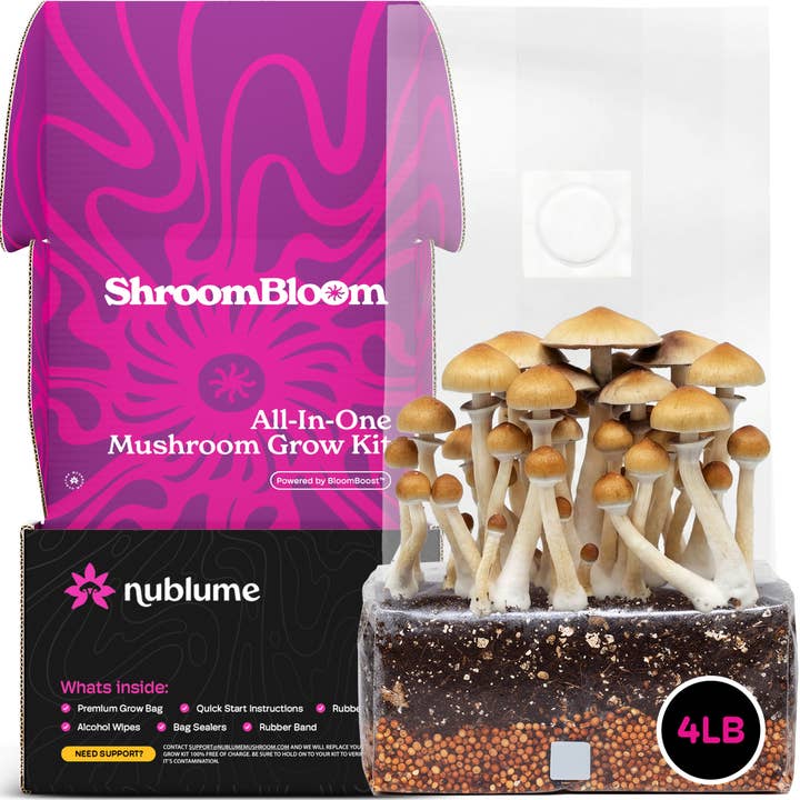 Nublume Mushroom - Wholesale Planter Box - All-In-One Mushroom Grow Kit – Perfect for First-Time Grower1