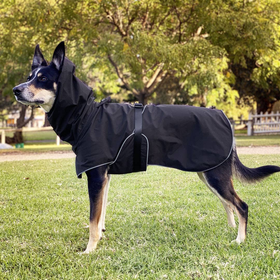 Stylish Hound - Wholesale Pet Raincoat - Dog - Black Raincoat7