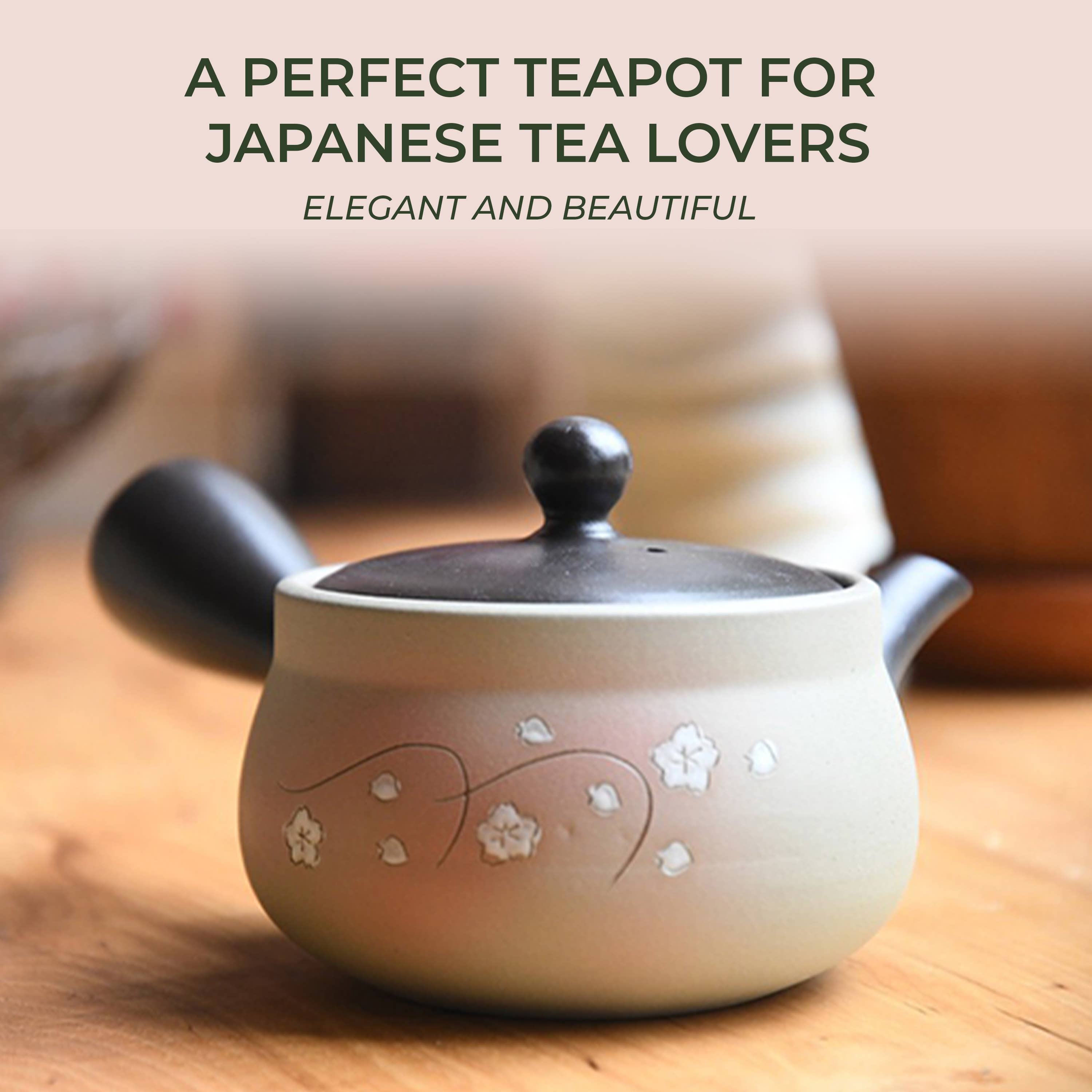 Japanese Green Tea Co. - Vendita all'ingrosso Teiere - Tokoname Yaki Kyusu teiera da 270 cc per tè Fukamushi18