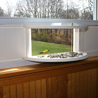ClearView Window Bird Feeder for wholesale by BestNest Inc