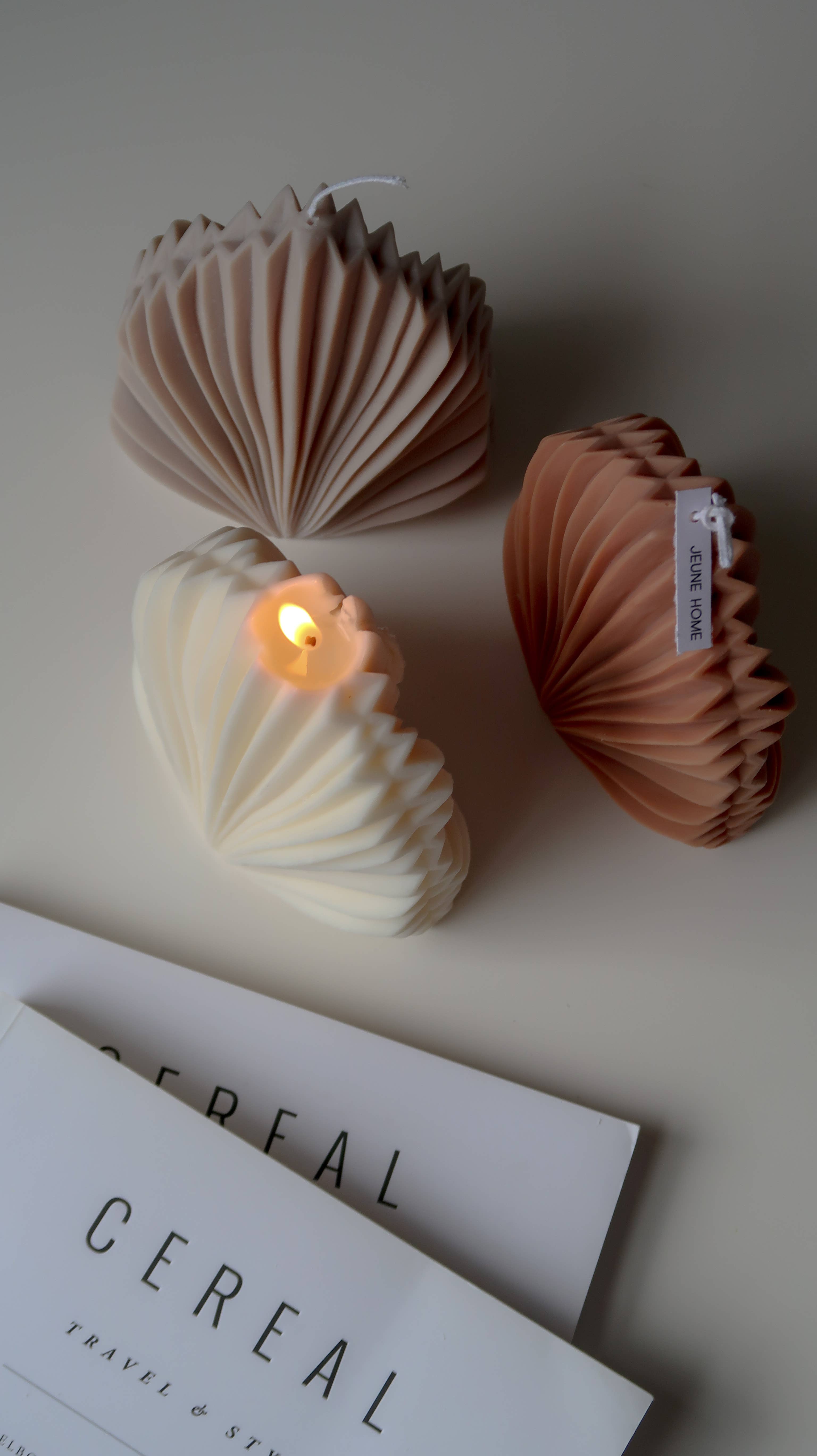 Jeune Home – wholesale Novelty candle – Palm Spear Soy Candle | Scented candle | fan candle2