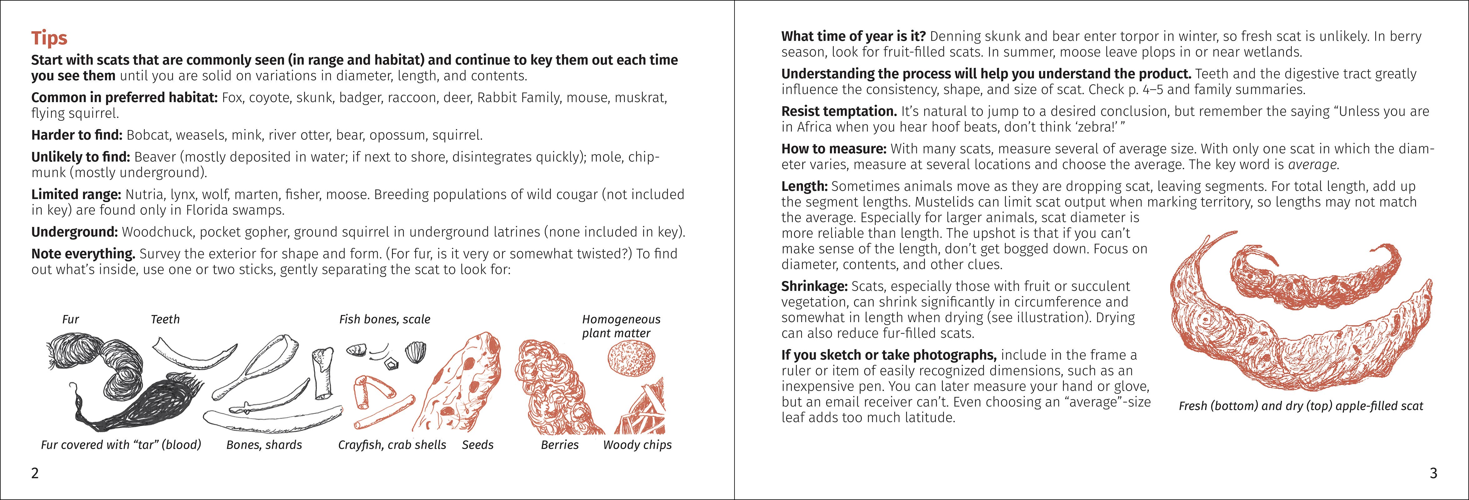 AdventureKEEN - Wholesale Nature & Outdoors - Scat Finder 2nd Edition12