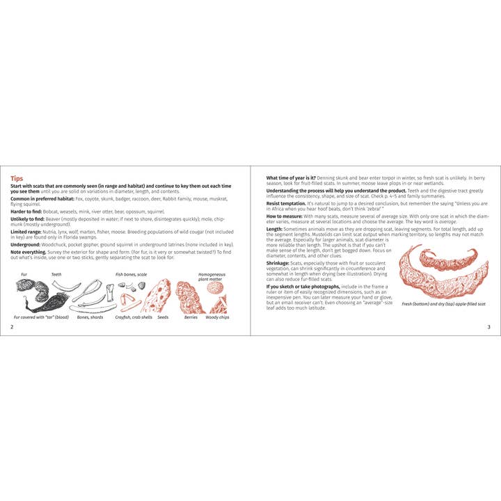 AdventureKEEN - Wholesale Nature & Outdoors - Scat Finder 2nd Edition12