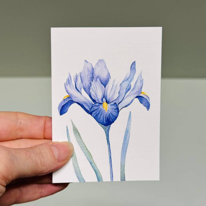 Scattered Seed Co - Wholesale Stationery/notecard set - IRIS greeting cards set of 4 Mini or Regular size2