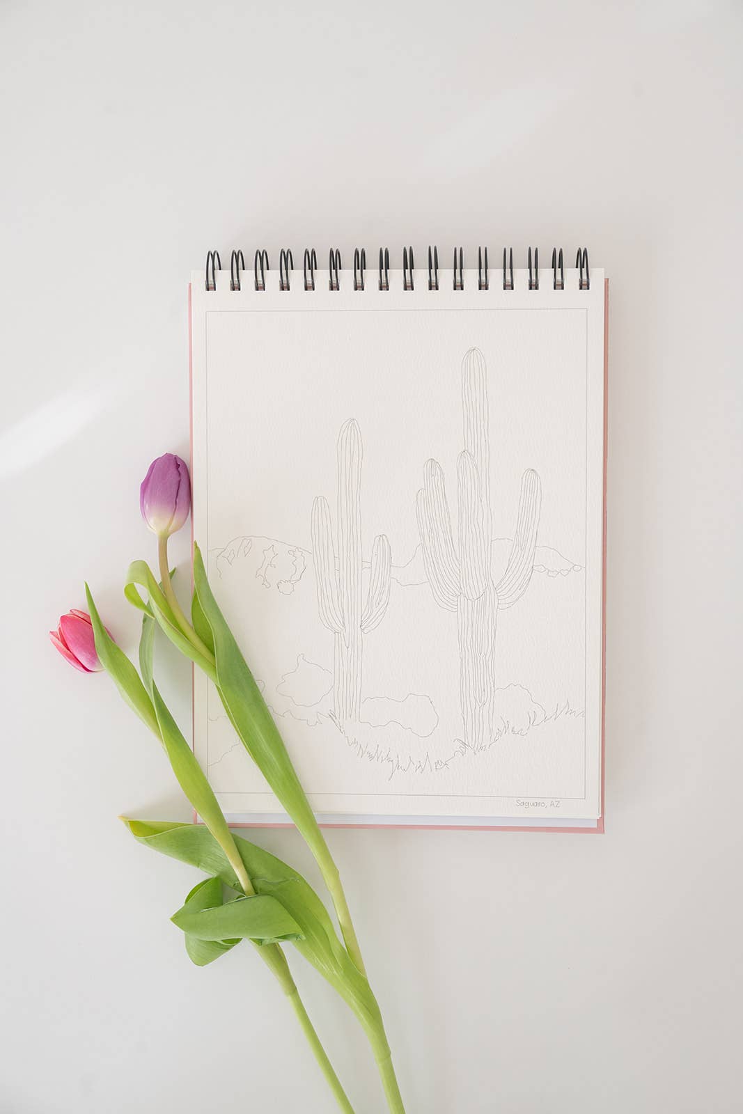 Bailey Rae Studio - Wholesale Watercolor Paint - National Parks Watercoloring Book-Outlines w/Video Tutorials19