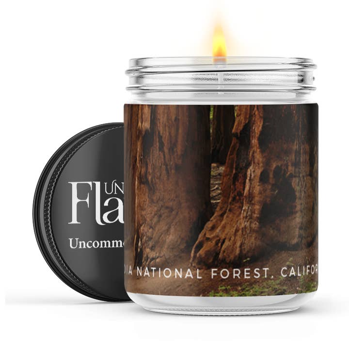 Sequoia National Forest Candle for wholesale by Uncommon Flame
