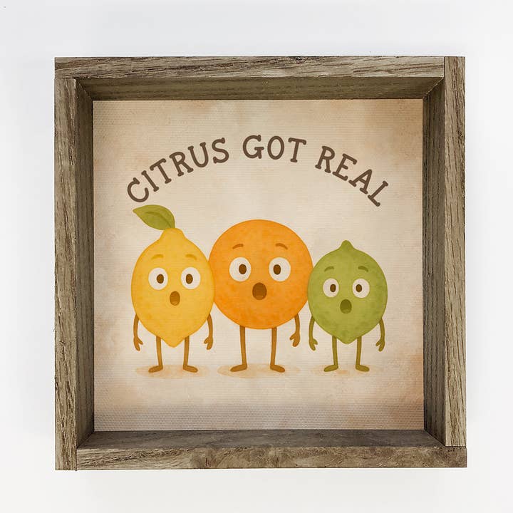 Hangout Home - Wholesale Sign - Funny Farmer's Market Citrus Got Real - Cute Canvas Sign 0