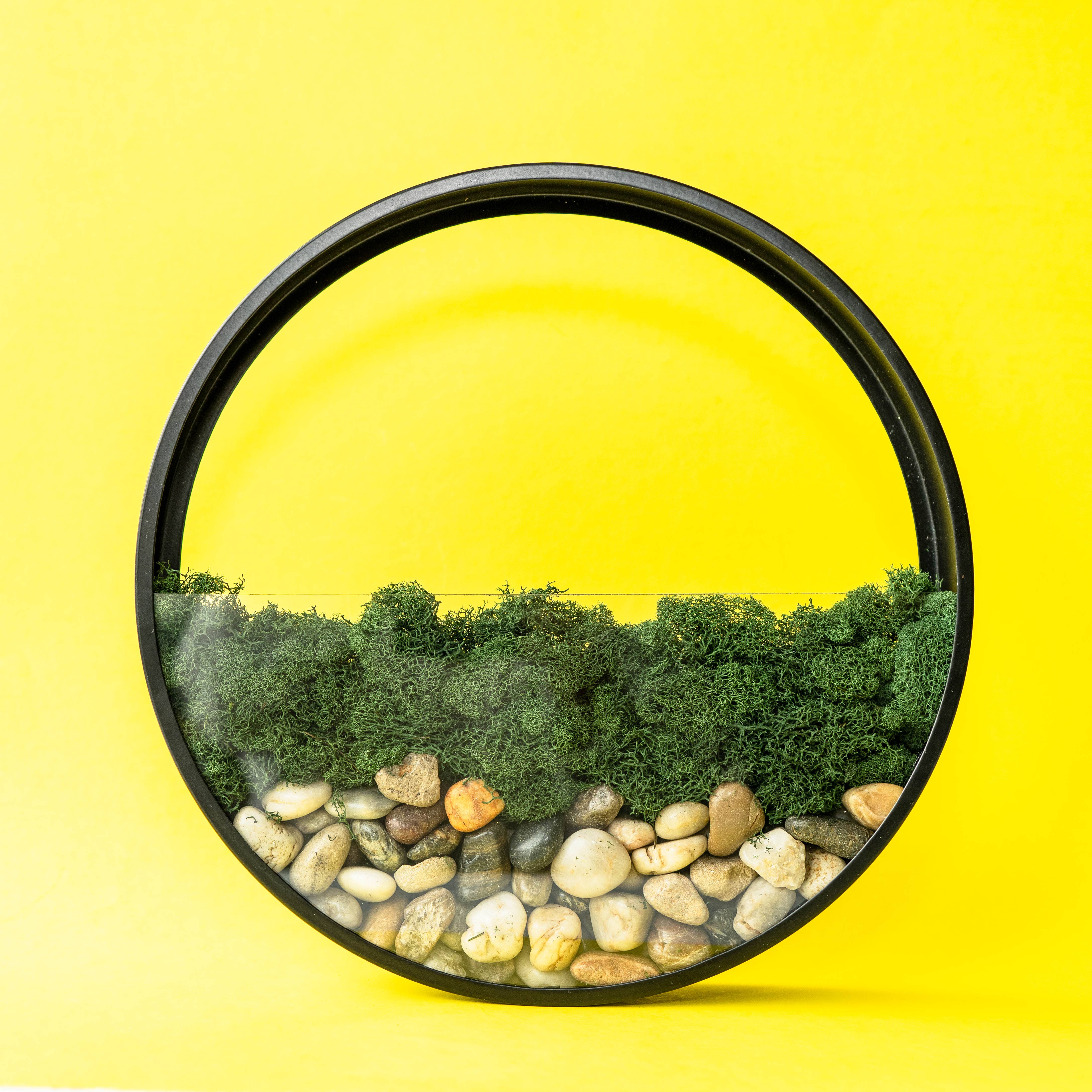 Adults & Crafts - Wholesale DIY Craft Kit - Wall Terrarium Craft Kit 6