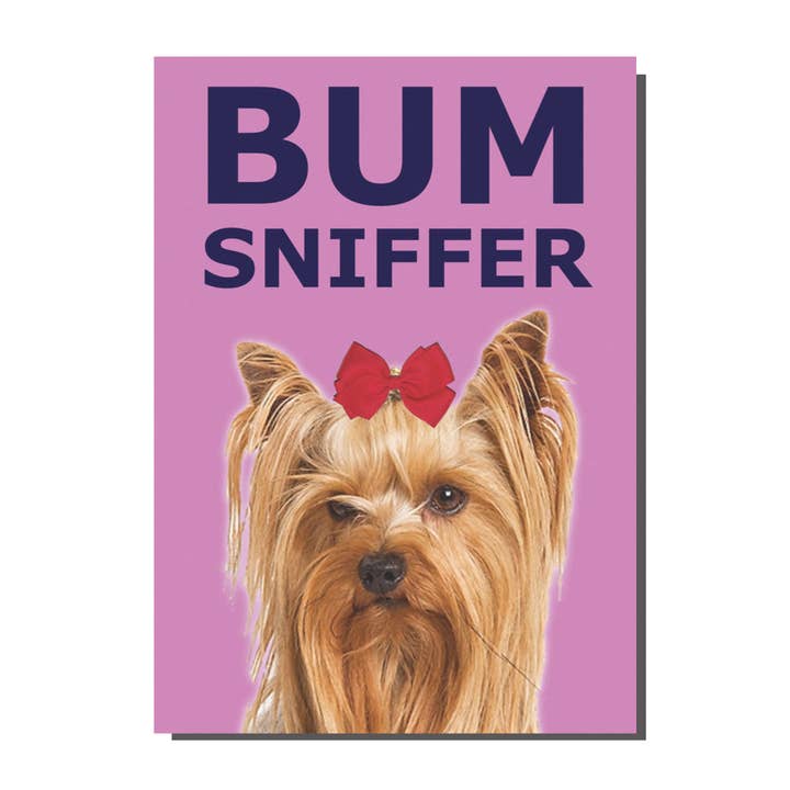 TP031 Bum Sniffer Card (pack of 6) for wholesale by Bite Your Granny