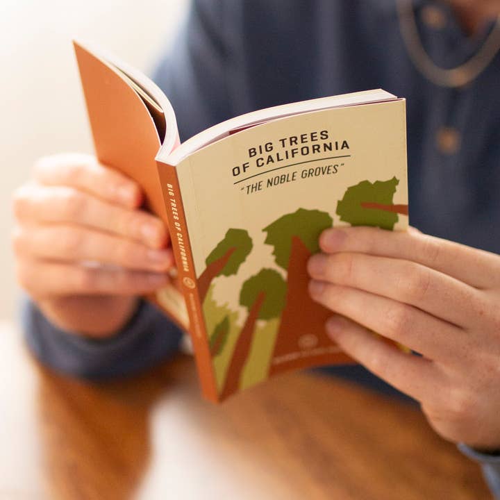 Wildsam Field Guides - Wholesale Nature Guide - Big Trees of CaliforniaÂ