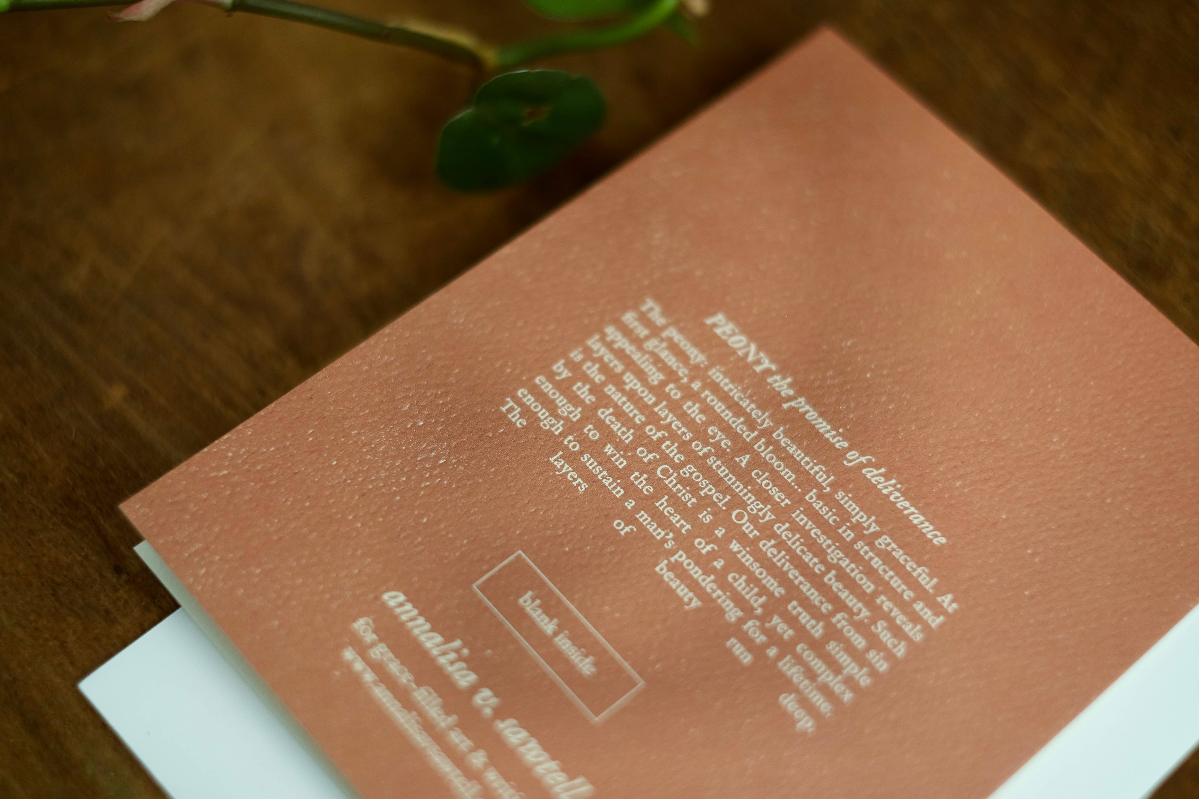 annalisa v. sawtell - Wholesale Stationery/Notecard Set - The Botanical Promises Collection | Boxed Set of 8 | A213