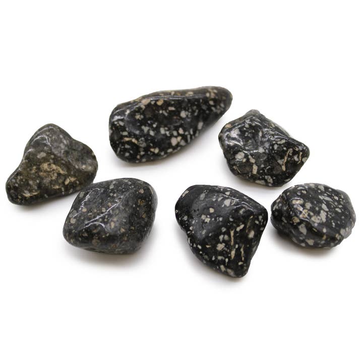 Large African Tumble Stone Guinea Fowl Large for wholesale by Ancient Wisdom