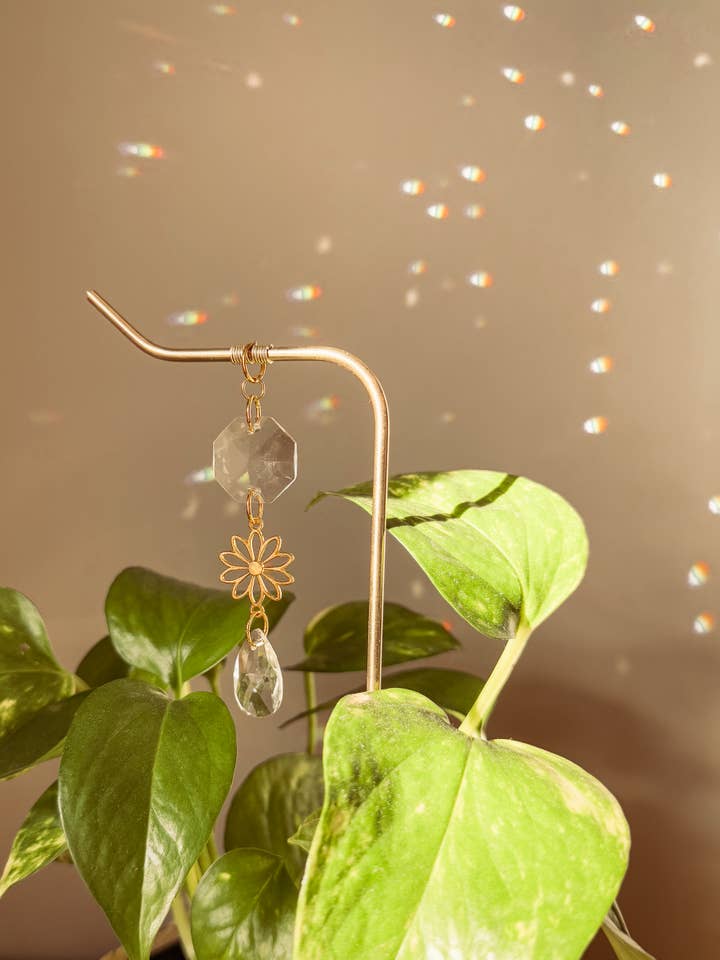 Pflanzenstütze | Sonnenfänger + Gänseblümchen-Anhänger | Zimmerpflanzen-Dekor für den Großhandel von Meraki The Studio Co.