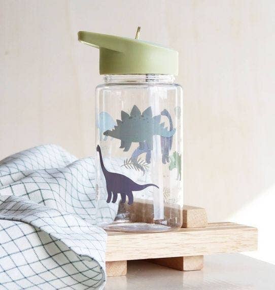 A Little Lovely Company - Wholesale Water Bottle - Kids drink bottle/water bottle: Dinosaurs2