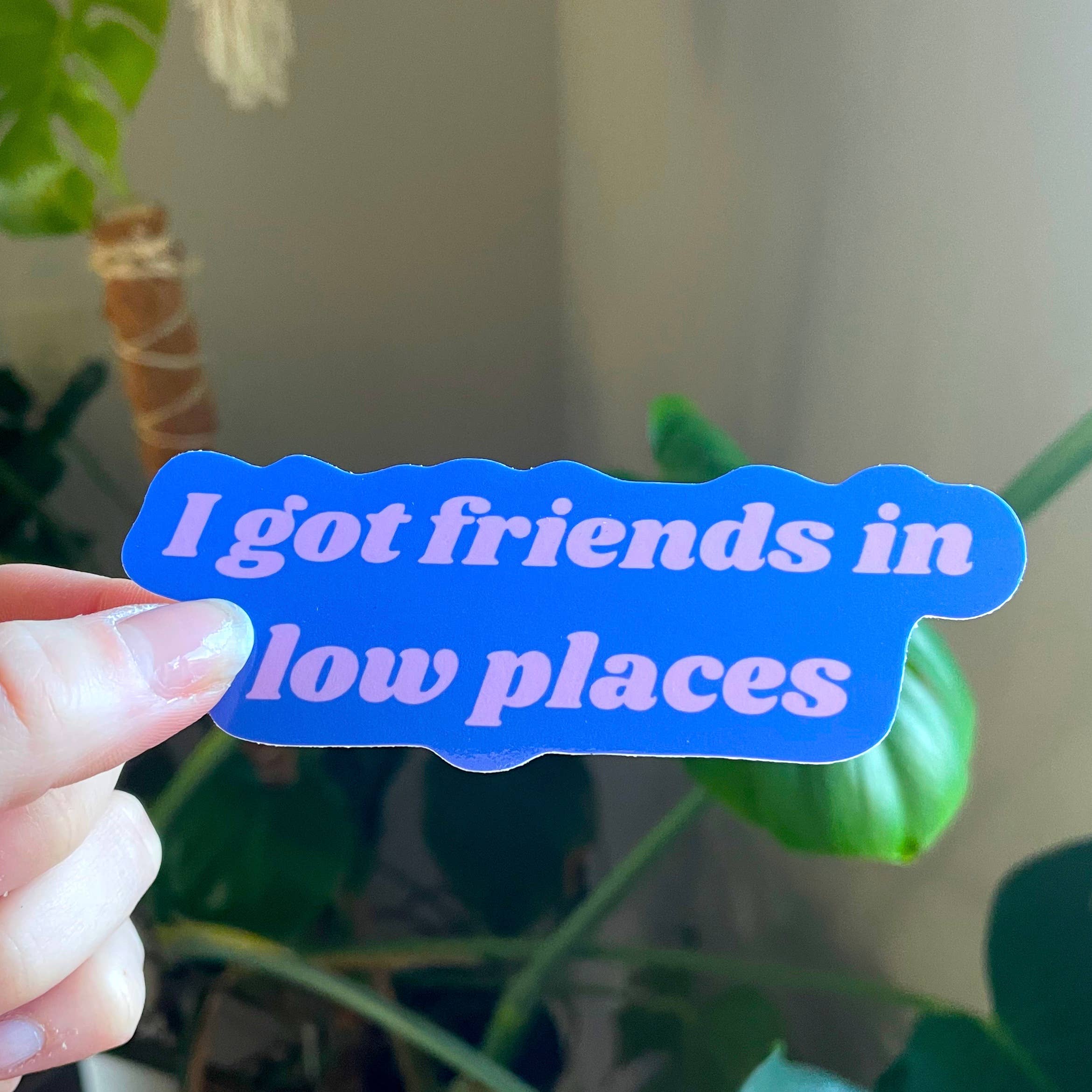 Little Viper Co - Wholesale Sticker - I Got Friends In Low Places Sticker3