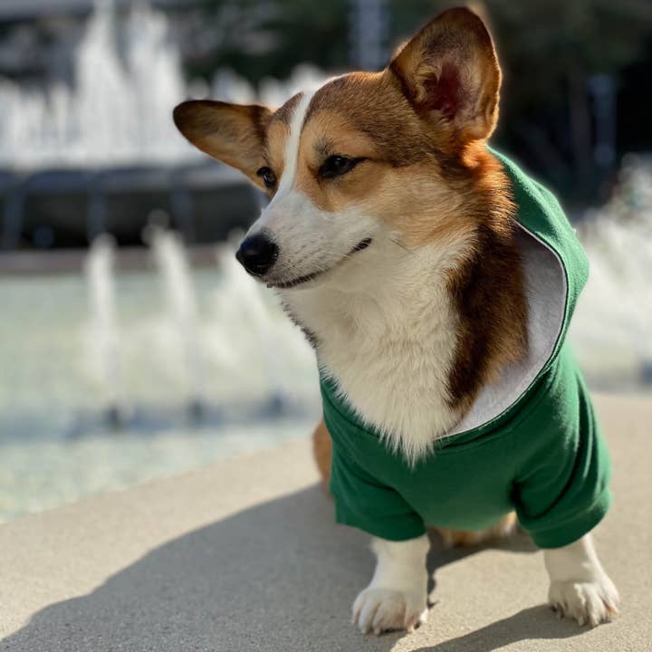 DJANGO - Wholesale Pet Hoodie - Dog - Dog Hoodie - Forest Green4