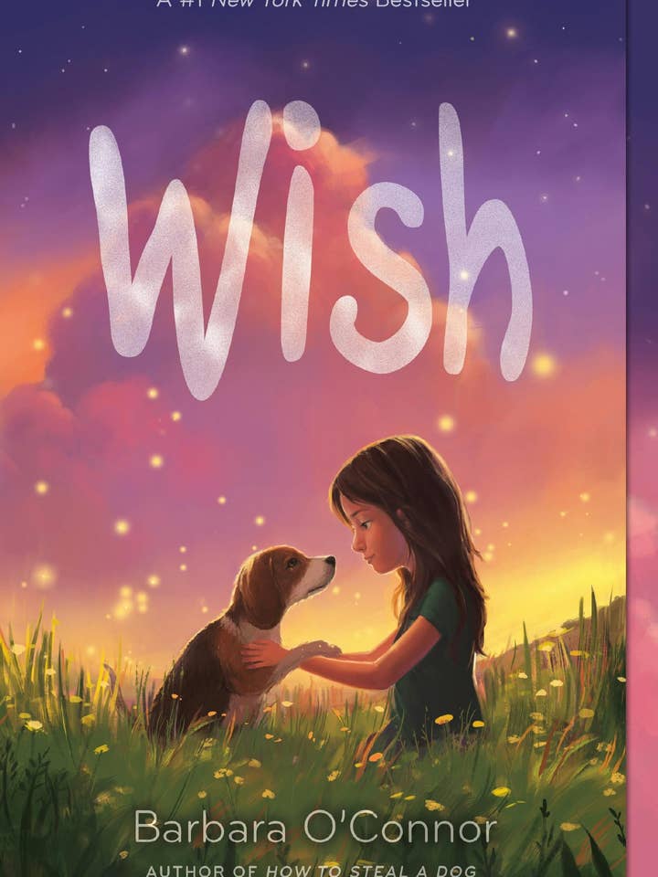 Wish: #1 for wholesale by Macmillan Publishers