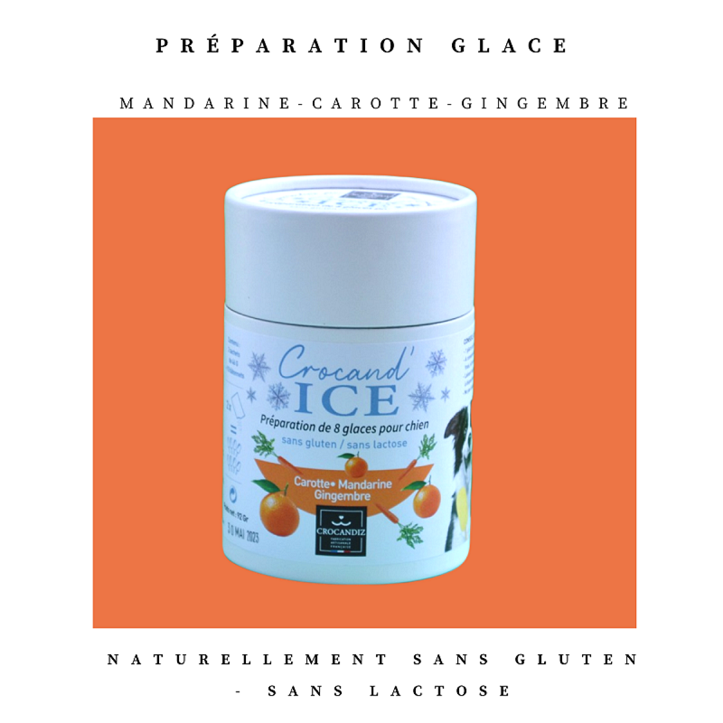 Crocandiz – snacks e guloseimas - Cão por atacado – Sorvete para cães de cenoura e tangerina1