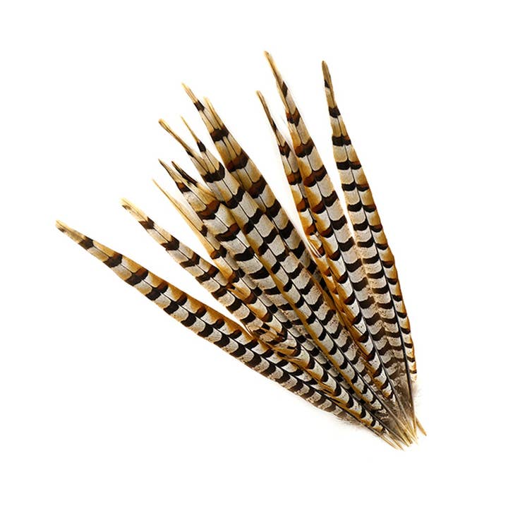 Venery Pheasant Tails - Natural - 16 - 20" for wholesale by Zucker Feather Products