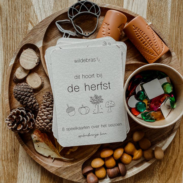 Wildebras - Wholesale Learning Cards - Kids & Baby - Autumn flashcards - learning about the season through play - Montessori5