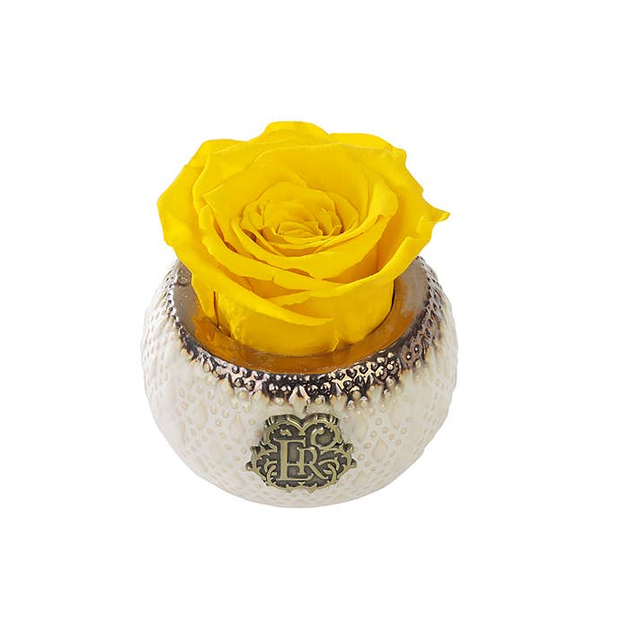 Eternal Roses® - Wholesale Artificial Flowers - Mini Soho Classic Eternal Luxury Rose6