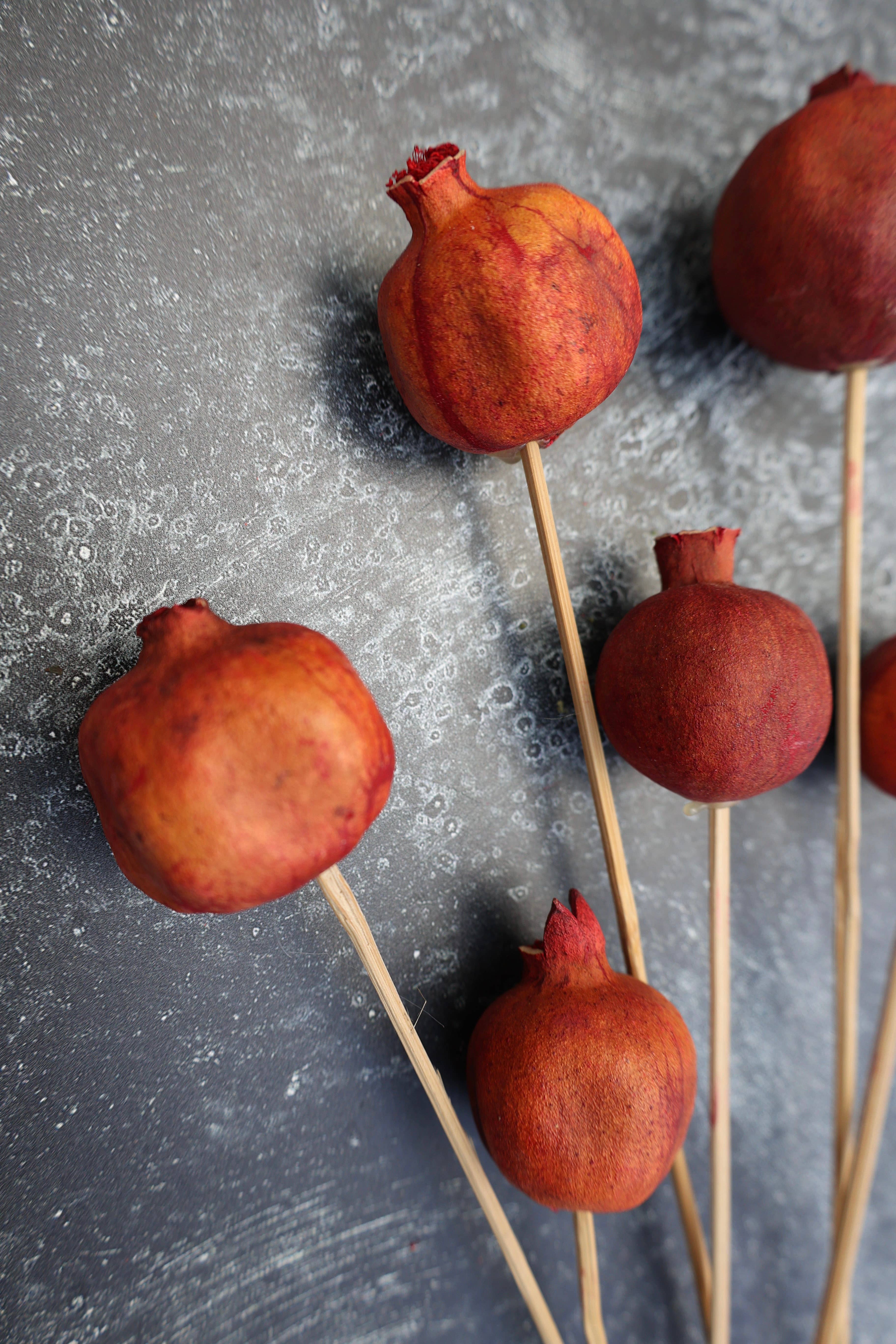 FlowerFantaSee - Wholesale Dried/Pressed Flowers - Dried Pomegranate Stems 2