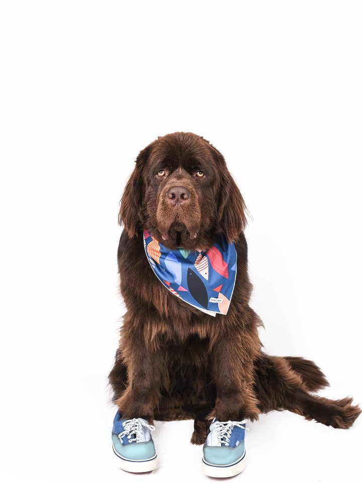 Levende Fisk Bandana for engroshandel hos Kendall Wags