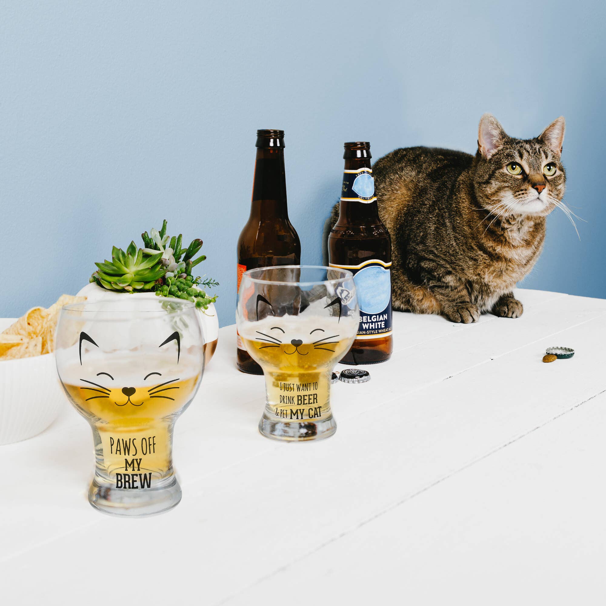 Pavilion - Wholesale Beer Glass/Mug - Paws Off - CAT - 15 oz Pilsner Glass1