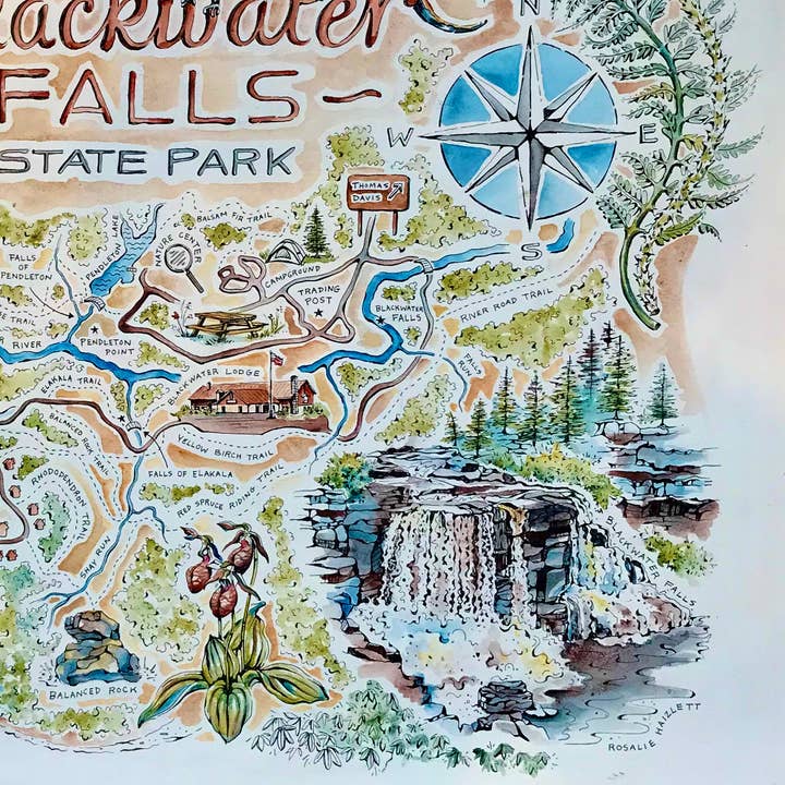 Rosalie Haizlett Illustration - Wholesale Art Print - Blackwater Falls State Park Map - Watercolor Art Print