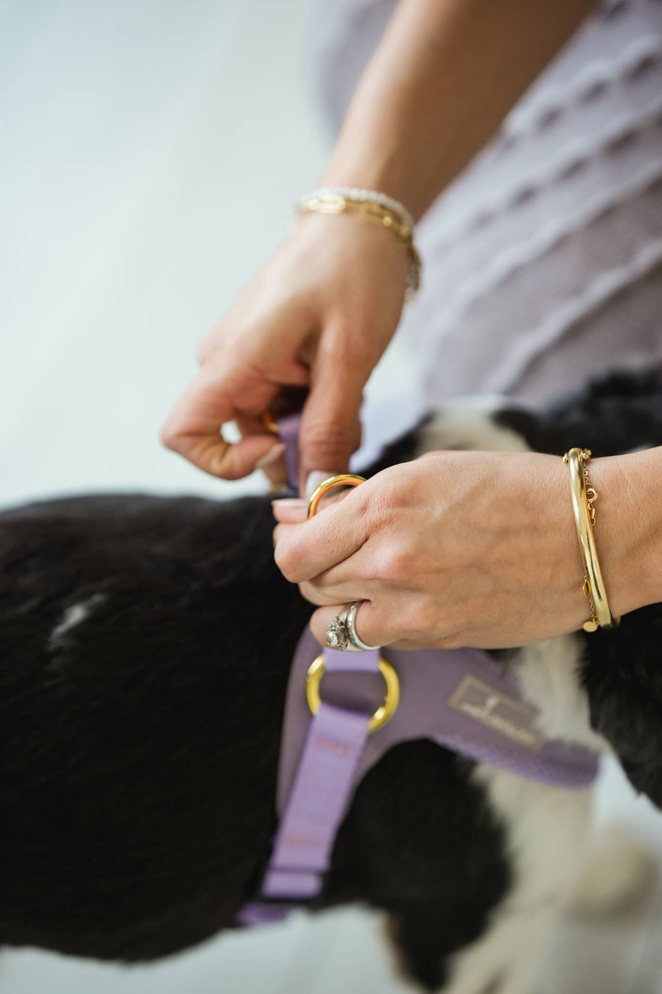 Cavology - Wholesale Pet Harness - Dog - DOG HARNESS EASY-O STEP IN LAVENDER6