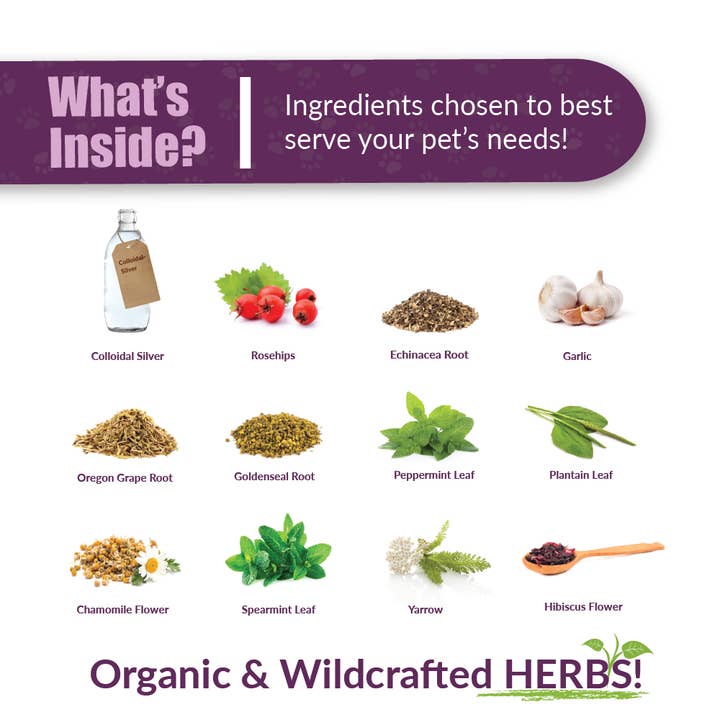 Amber NaturalZ, Inc. - Wholesale Pet Supplement - Cat/Dog - Paxaid | Pet Supplement