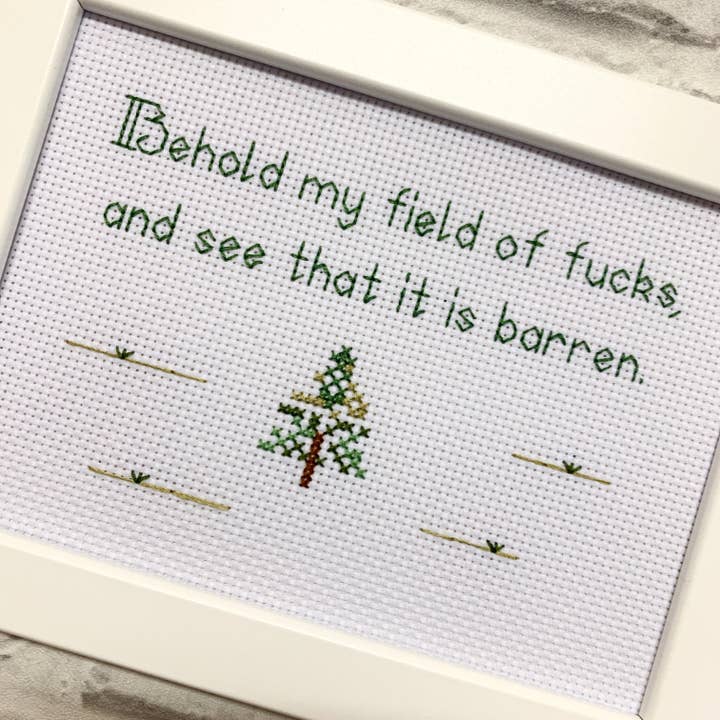 Cross Stitch Bitch - Vente Accessoire de broderie/point de croix - Encadrée terminée au point de croix, Behold my field of f*cks, broderie subversive drôle et subversive à la pointe de l'aiguille, impertinente, cadeau de Noël3