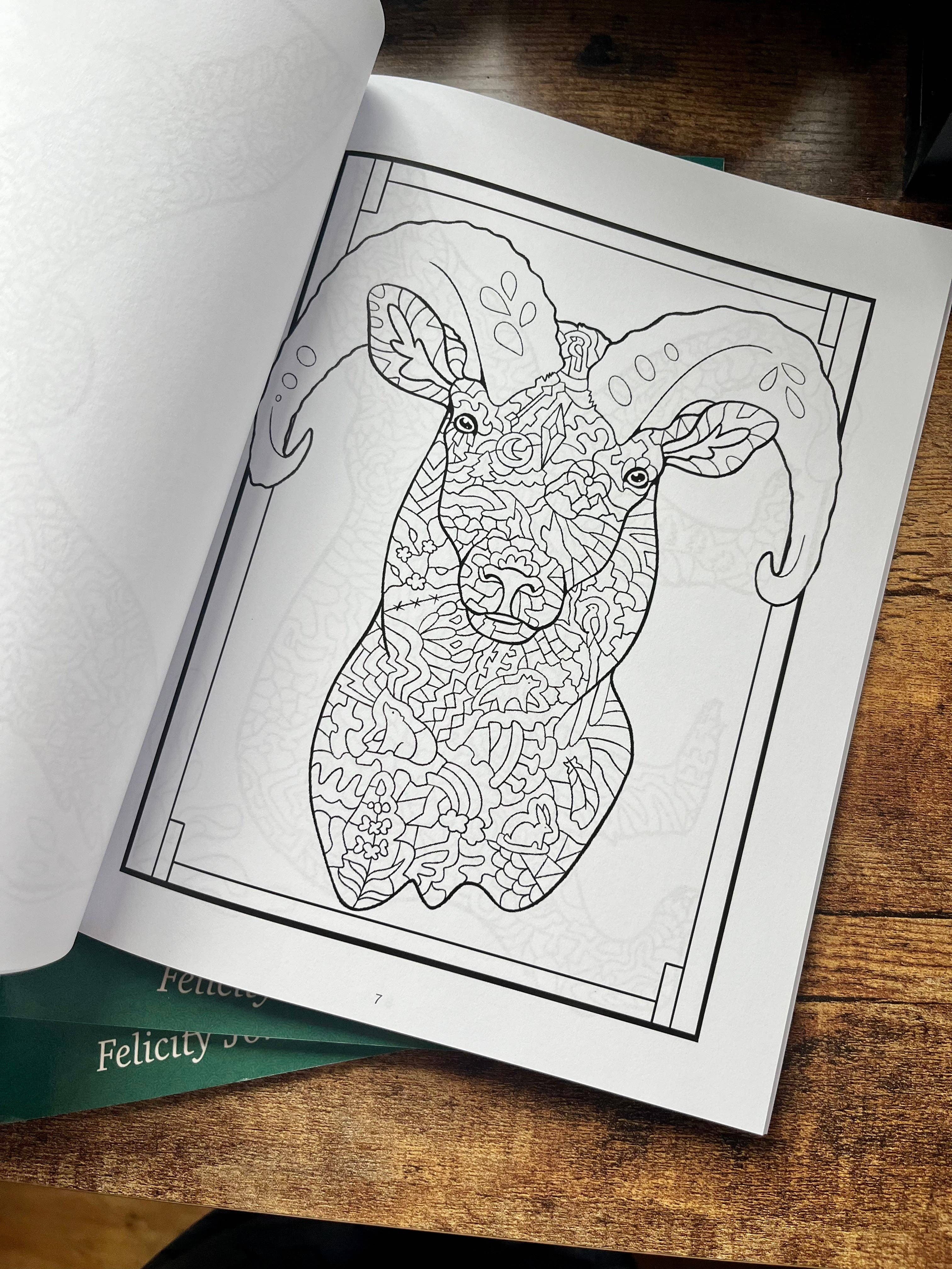 FJ Creations - Wholesale Coloring & Activity Book - Adult - Doodle Alaska 2 Coloring Book of Alaska10