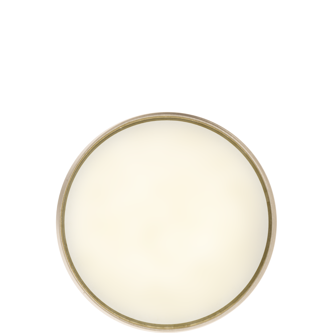 PlantBase GmbH - Vendita all'ingrosso Balsamo/burro per il corpo - Crema di karitè arancione 50 ml1