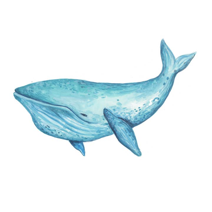 Teal Whale for wholesale by Jessica Frasz Studio
