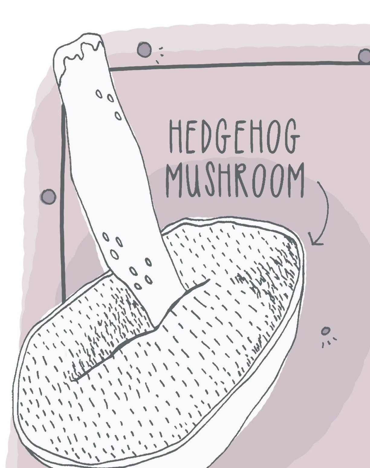 Pen+Pine - Wholesale Art Print - Wild Edible Mushrooms Print1