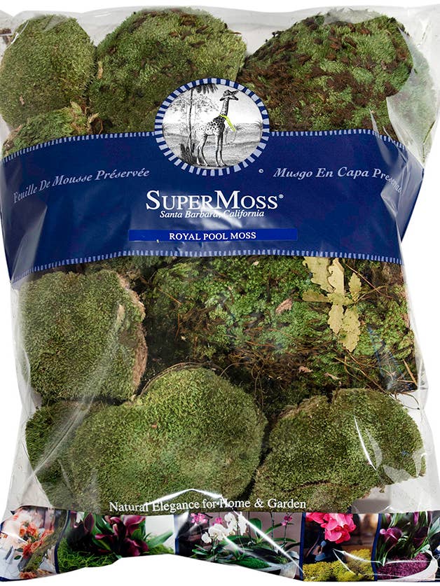 Royal Pool Moss for wholesale by SuperMoss