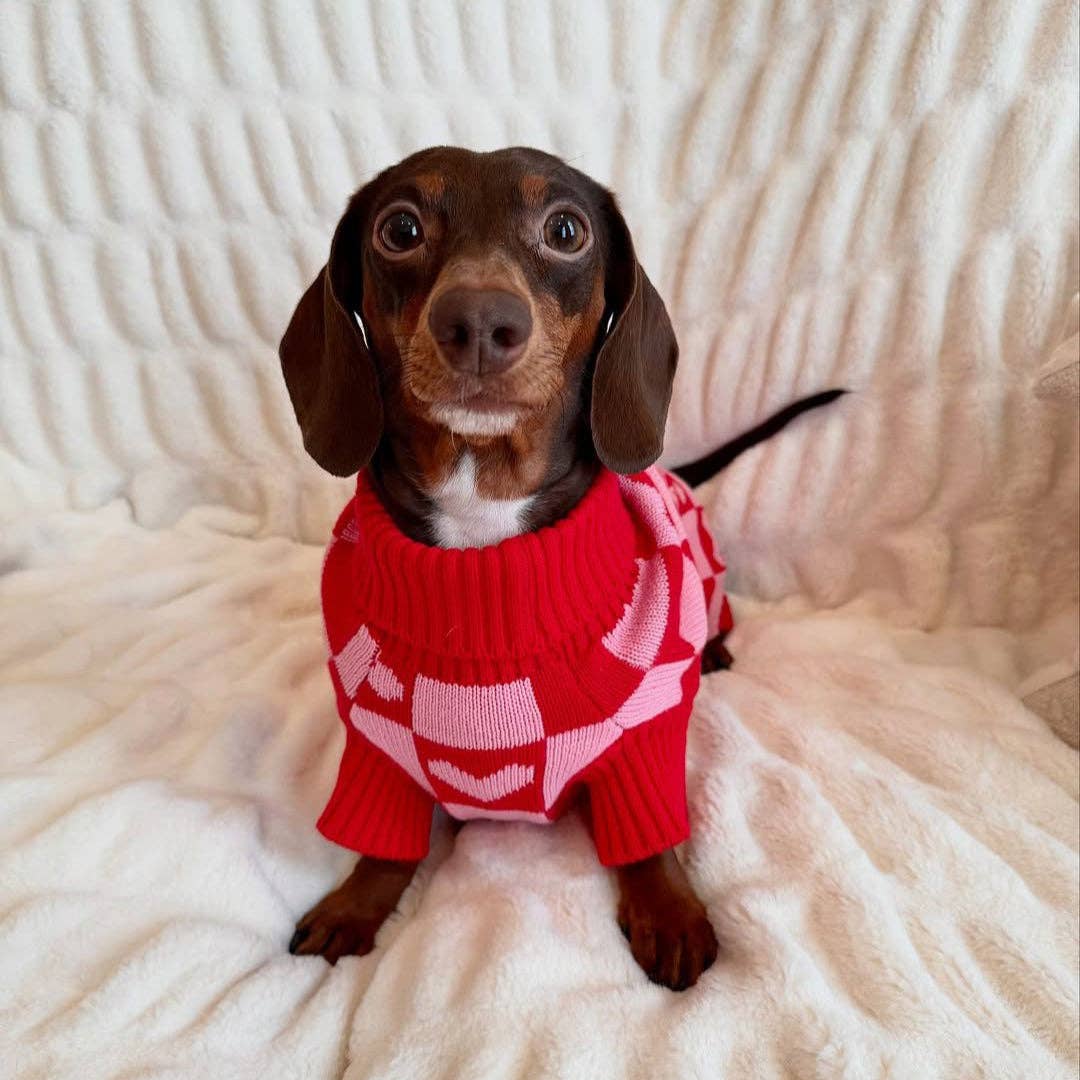 Sunbean - Wholesale Pet Sweater - Dog - Roll Neck Dog Knitted Love Sweater10